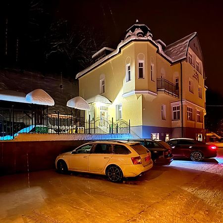 Vila Jáchymov Zewnętrze zdjęcie